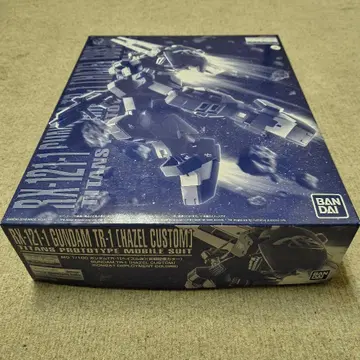 미조립품 MG 1/100 건담 TR-1 [헤이즐 개](실전 배치 컬러)