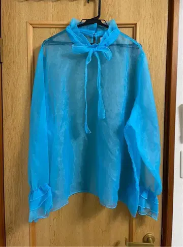 푸뉴즈 시어 블라우스