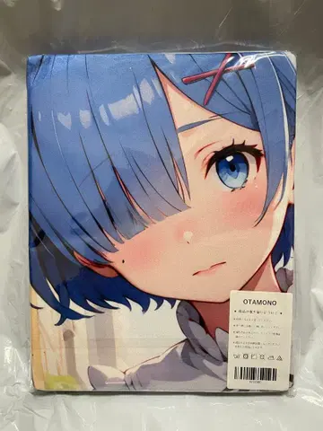 13360 거 리제로 렘