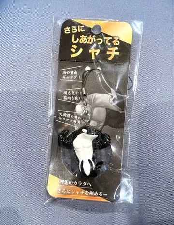 [ NEW ] 더욱 완성된 범고래 스마시 키링