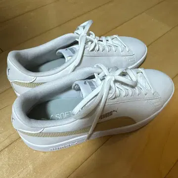 PUMA 스니커즈 24cm 미사용 새상품