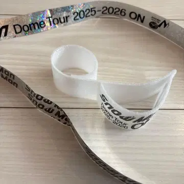 돔 투어 2025-2026 ON 은테 음표 snowman