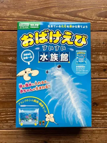 유령 새우 수족관