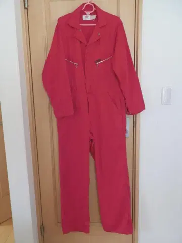 데이키즈 츠나기 (38) 레드