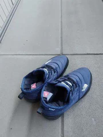 더 노스페이스 네이비 신발
