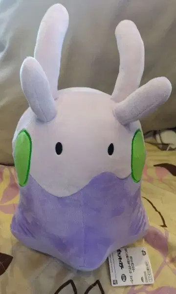 택 포함 포켓몬 봉제 인형 모후굿토 누메라 자립형 포켓몬스터