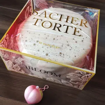 iBloom SACHER TORTE와 복숭아 스퀴즈 세트
