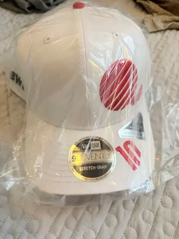 f1 Alpine 가스리 일본 GP 캡