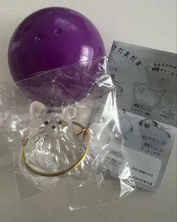 우리 아이 털뭉치 강아지 한정판 모듬 치와와 화이트 가챠가챠 가챠