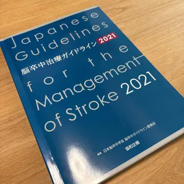 뇌졸중 치료 가이드라인 2021