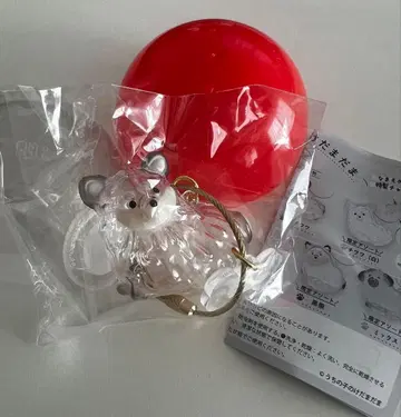 우리 아이 털뭉치 강아지 치와와 가챠가챠 가챠