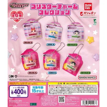 총 6종 컴프 파워퍼프걸 블리스터 참 컬렉션