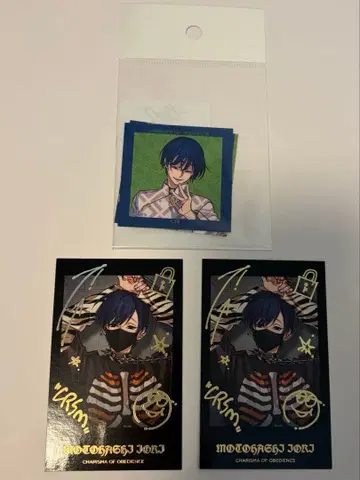 카리스마 폴라로이드풍 카드 스티커 세트 모토하시 이오리