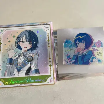 키리타니 하루카 세트