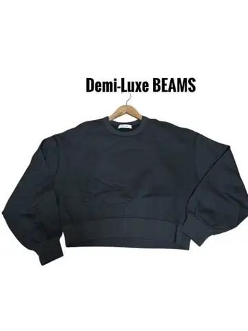 미사용 Demi-Luxe BEAMS 맨투맨