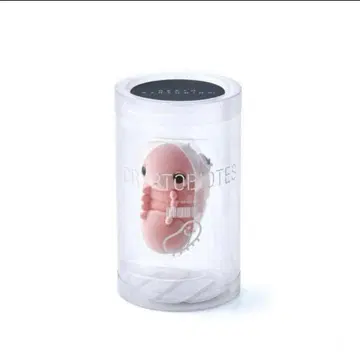 데스 스트랜딩 크립토바이오시스 피규어 스트랩