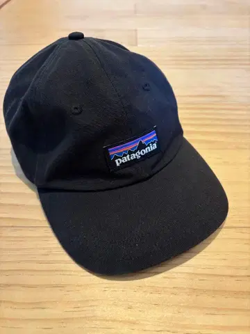 Patagonia 블랙 캡