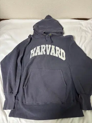 레어 챔피온 Champion 칼리지 금색 택 L 리버스 위브