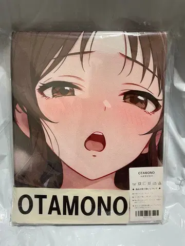 55539 미 아이돌 마스터 타치바나 아리스