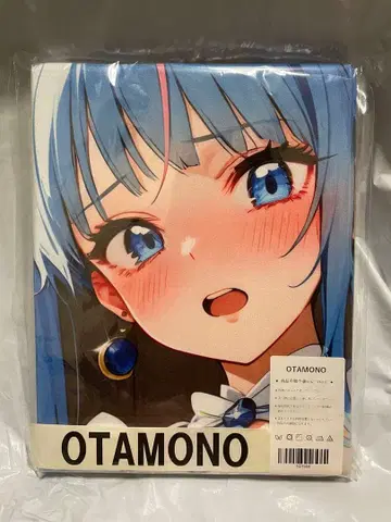 21654 거대 프리큐어 스카이