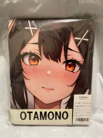 52802 미 Fate 미유