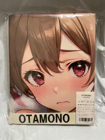 52547 빈 SAO 실리카