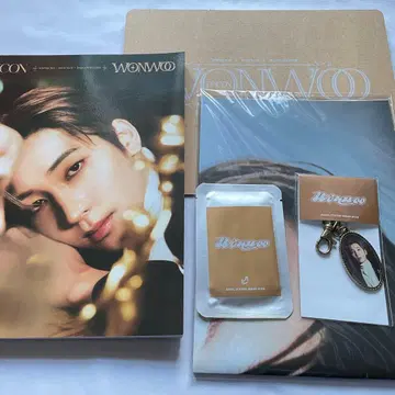 DICON SEVENTEEN 원우 B