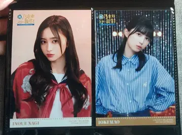 초 노기자카 스타 탄생 1권 브로마이드 4장 세트