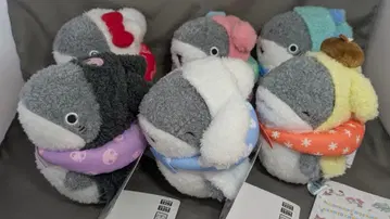 외출 아기상어 6종 6개 세트 산리오 콜라보 봉제 인형 [익명 배송]