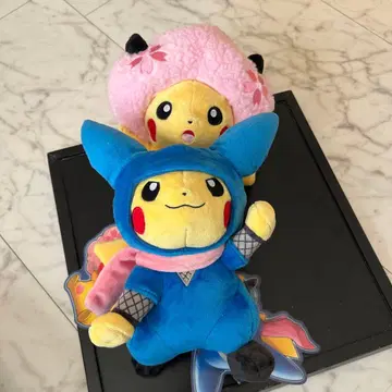 pokemon center TOKYO DX PIKACHU 2pieces
