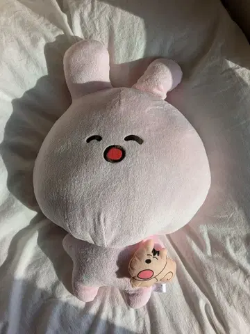 P 마루님. 토끼 봉제 인형