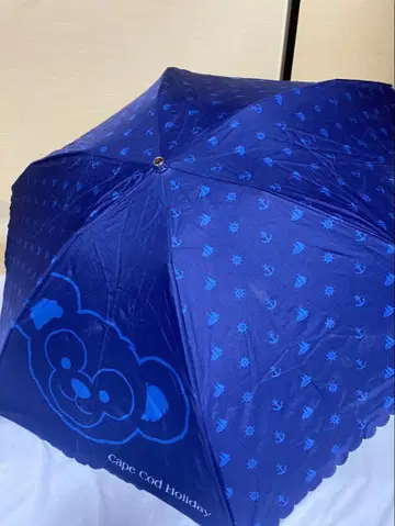 디즈니씨 더피 케이프 코트 홀리데이 우천 겸용 우산