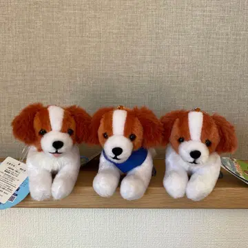 코이켈혼디에의 오데코짱 LMC 봉제 인형 전 3종 컴플리트