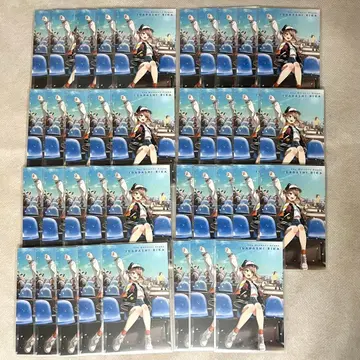 [ 새해맞이 SALE ] 이가라시 리카 outdoor 폴라로이드풍 카드