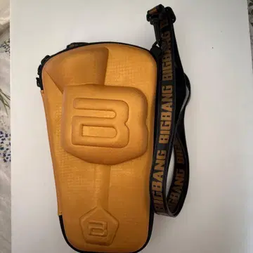 BIGBANG 응원봉 케이스