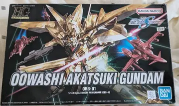 HG 1/144 오오와시아카츠키 건담