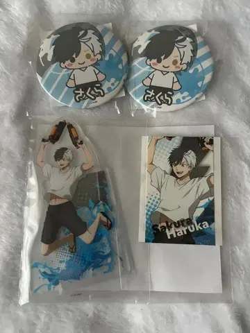 WIND BREAKER 윈브레 사쿠라 하루카 세가 럭키 쿠지