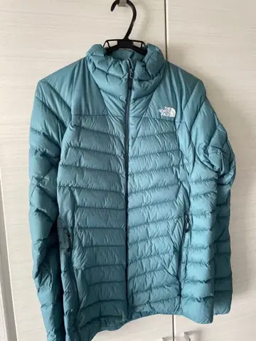 THE NORTH FACE 레드런 자켓 사이즈 M 고블린 블루