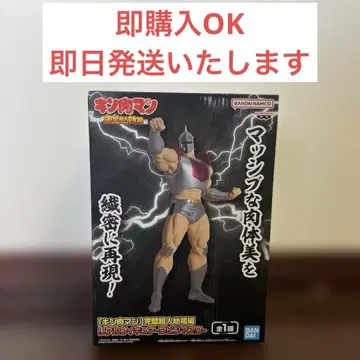 근육맨 머슬 바디 피규어 약 26cm