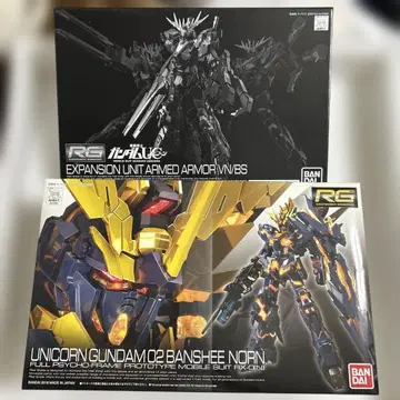 RG 밴시 노른 & 암드 아머
