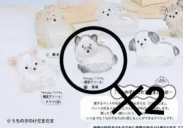 우리 아이 털뭉치 한정판 모듬 블랙 시바견 2개 세트