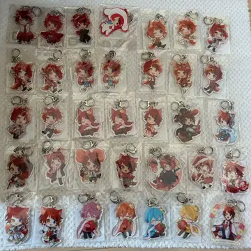 리이누 군 아크링 키링