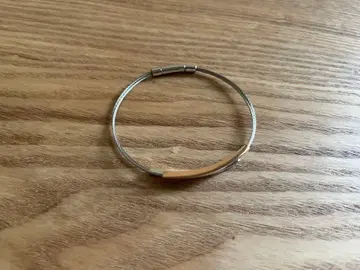 SKAGEN 스카겐 팔찌