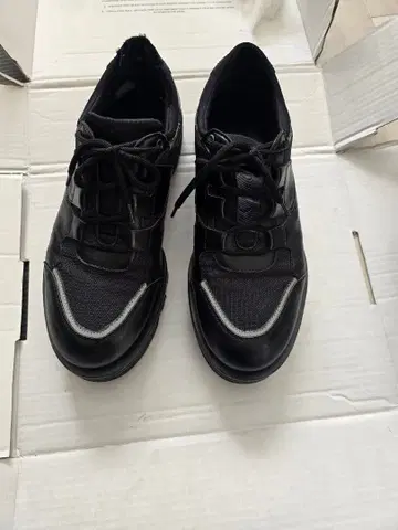 사샤 가렐 M5 19aw