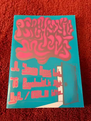 사이키델릭 무즈 : 어 영 퍼슨즈 가이드 투 사이키델릭 -