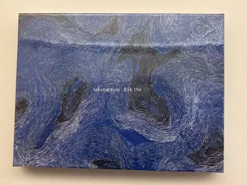 [ 미개봉 ] 사카낙션 834.194 완전 생산 한정판 A