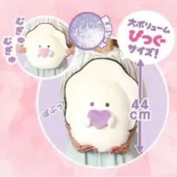 동글동글 눈망울의 생굴 보라색 하트 부착