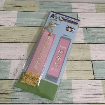 다이토 복권 E상 우승 레이풍 플라이트 택 리버티 아일랜드