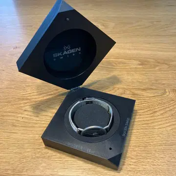 SKAGEN 남성용 손목시계 11LSS