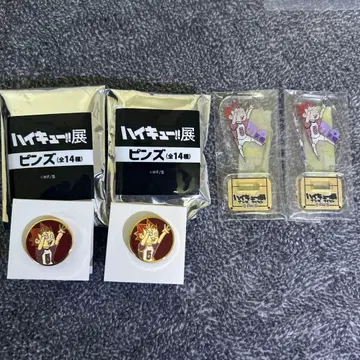 하이큐 전시회 아크릴 미니 피규어 핀즈 텐도 사토리